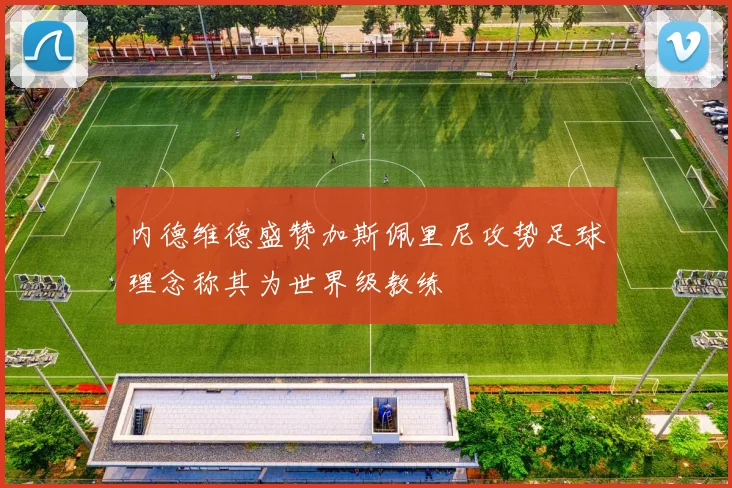 内德维德盛赞加斯佩里尼攻势足球理念称其为世界级教练