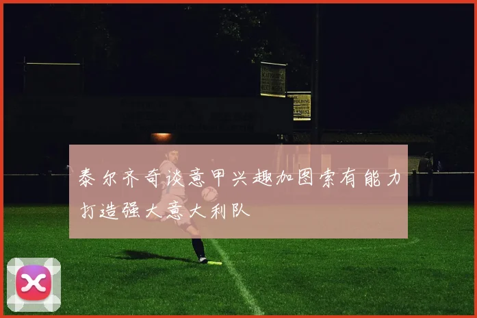 泰尔齐奇谈意甲兴趣加图索有能力打造强大意大利队